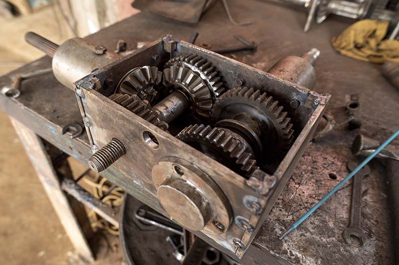 Yosh jojalarning mushuklari